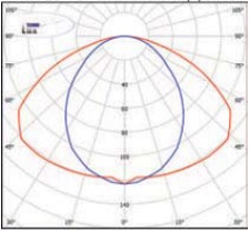  ������ ���� �����